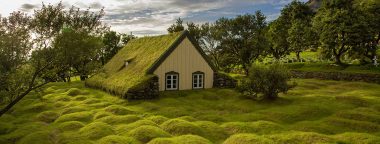Église au toit recouvert d'herbes
