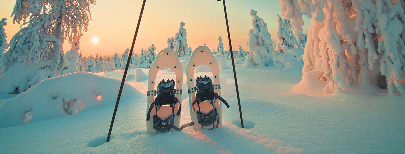 Balade en raquettes en Laponie | Scanditours