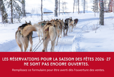 Scandi - formulaire pré-résa Noel